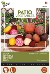Betterave Hula Hoop mélange de 4 colours - Buzzy Patio Vegetables
