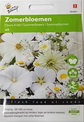 Fleurs d’été - En mélange blanches