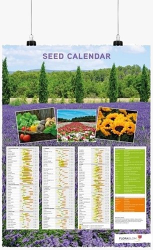 Poster Calendrier des Semis Anglais