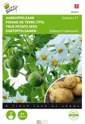 Semences de pomme de terre Soltastic F1 - Solanum tuberosum