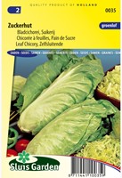 Chicorée à feuilles Zuckerhut (Pain de sucre)-2