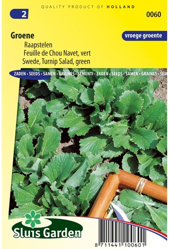 Raapstelen Groene - Brassica rapa-2