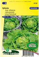 Sla Sylvesta - Lactuca sativa-2