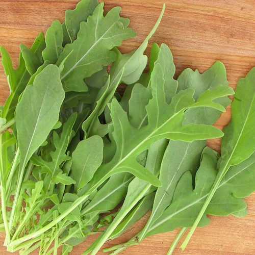 Roquette sauvage Rocky Wild EKO