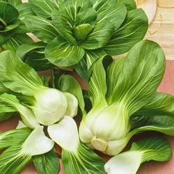 Pak-choi Green Fortune F1