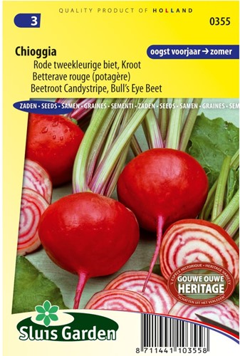 Betterave rouge Chioggia-2