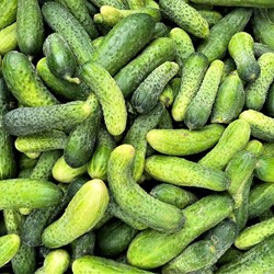 Cornichon Hokus EKO