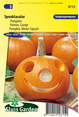 Potiron Spooktacular - Cucurbita-2