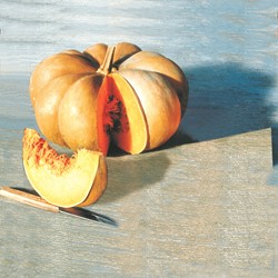 Girauman, Courge. Musquée de Provence EKO