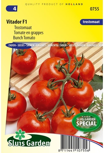 Tomate en grappes Vitador F1-2