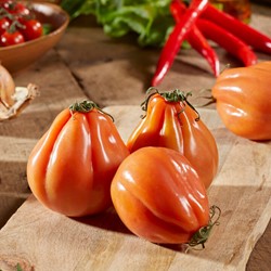 Tomate Géant Coeur De Boeuf - Pomodori Collection