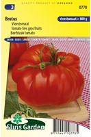 Tomate très gros fruits Brutus - Lycopersicon-2