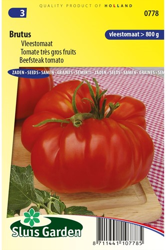 Tomate très gros fruits Brutus - Lycopersicon-2