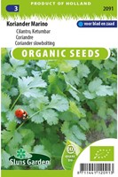Coriandre Marino - Coriandrum sativum EKO-2