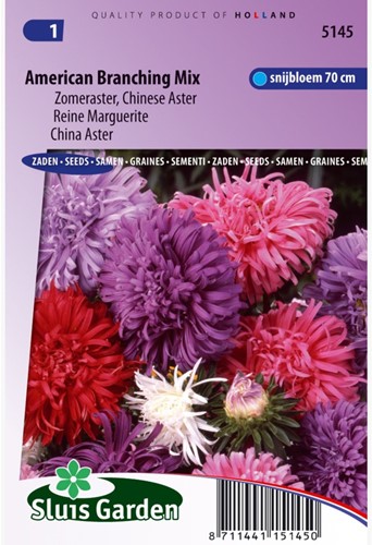 Aster Amerikaanse Struik Mix (Zomeraster)-2