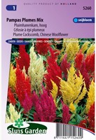 Hanenkam Pampas Plume Mix-2