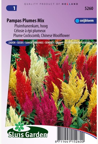 Hanenkam Pampas Plume Mix-2