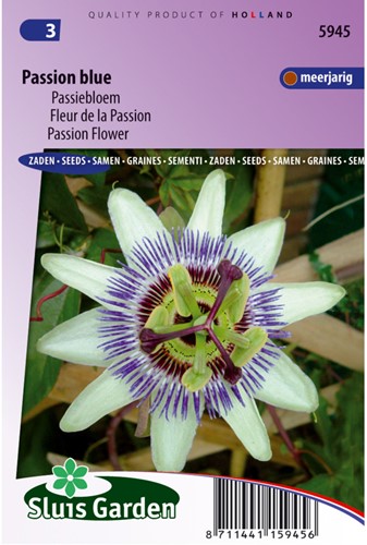 Fleur de la Passion, Passion Bleu - Passiflora-2