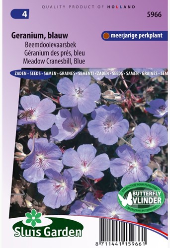 Géranium des prés bleu - Geranium-2