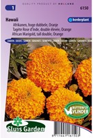 Tagète Rose d'Inde double élevée Hawaii - Tagetes-2