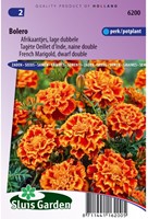 Afrikaan Bolero - Tagetes-2