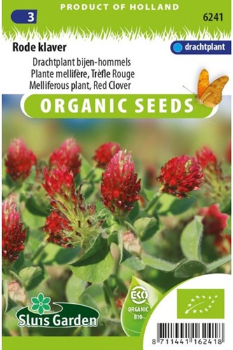 Trèfle rouge, plante mellifère EKO-2