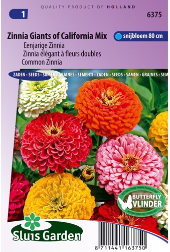 Zinnia Reuzen van California Mix-2