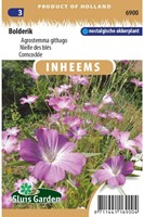 Nielle des blés - Agrostemma githago-2