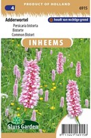 Adderwortel - Persicaria bistorta-2