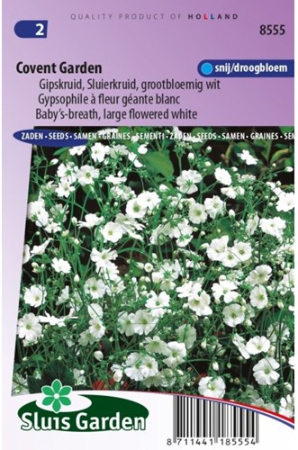 Gipskruid Covent Garden - Gypsophila-2