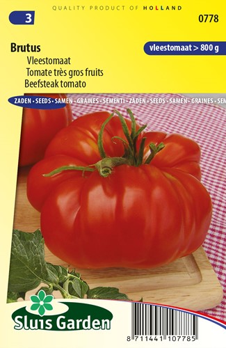 Tomate très gros fruits Brutus - Lycopersicon