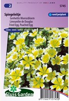 Limnanthe de Douglas Yellow - White