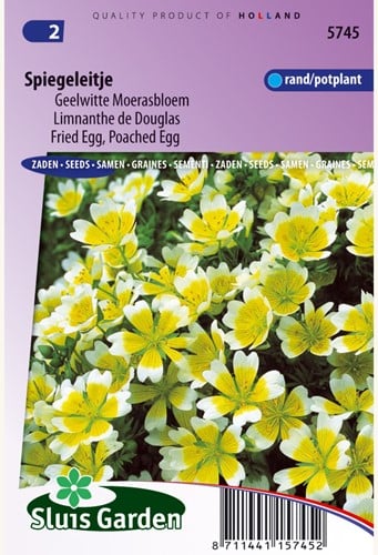 Limnanthe de Douglas Yellow - White