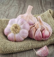 Knoflook Roze