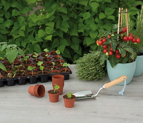SOGO Pot Plastic 6cm-2