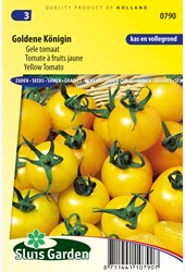 Tomate à fruits jaune Goldene Königin