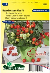 Tomate cerise Heartbreakers Vita F1