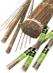 Bambou Bâton 60 cm. 10 pièces en paquet - Nature