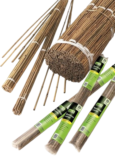 Tonkin Stokken 60 cm. 10 stuks in bundel - Nature