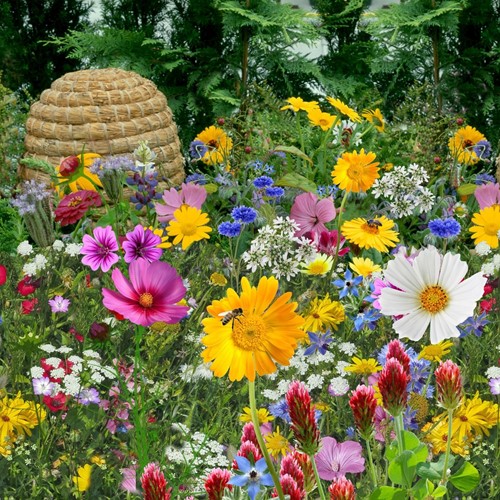 Mélange de Tübingen pour abeilles EKO / 500 m²