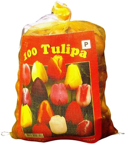 Tulipes Triumph en Mélange (XL-Emballage)