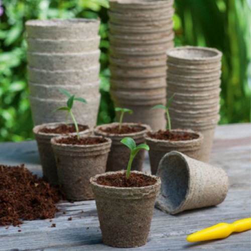 Godets biodégradable : ronds 8cm, 15 godets