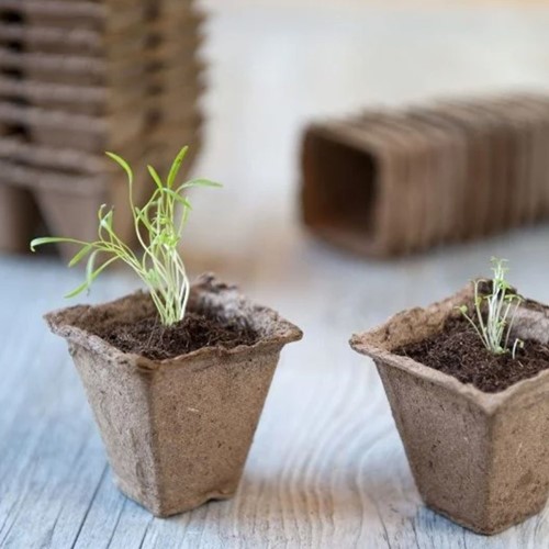 Pots de culture en fibre de bois biodégradables carrés – 15 pots (5x5x5 cm)