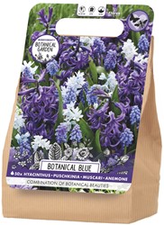 Bloembollenpakket Botanical Garden Botanical Blue