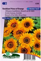 Venidium Prince of Orange (Afrikaanse Goudsbloem)-2