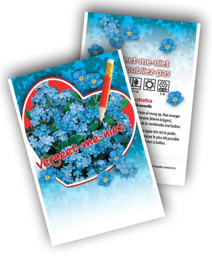 Myosotis