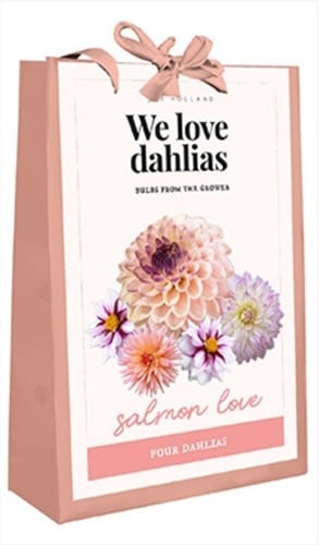 We Love Dahlias | Salmon Love