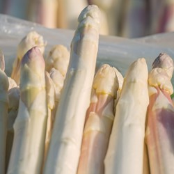 Asperge Blanche