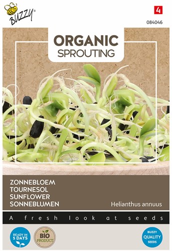 Organic sprouting Tournesol BIO – Helianthus annuus