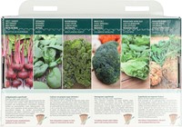 Collection 6 Cultivez vos propres super aliments ! – Buzzy Collection-3